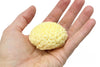 Squishy Brain Stress Relief - Brain Spice