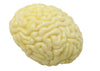 Squishy Brain Stress Relief - Brain Spice