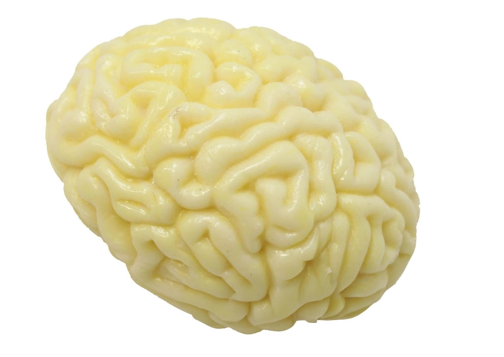 Squishy Brain Stress Relief - Brain Spice