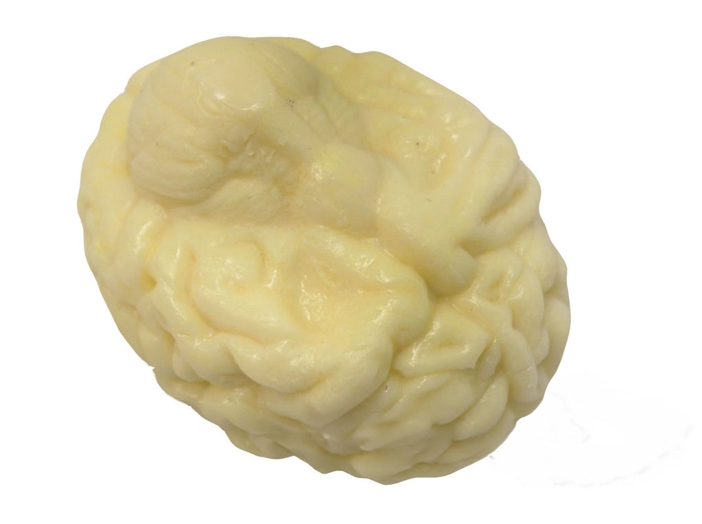 Squishy Brain Stress Relief - Brain Spice