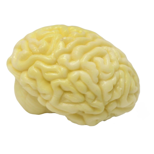 Squishy Brain Stress Relief - Brain Spice