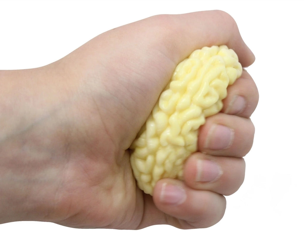 Squishy Brain Stress Relief - Brain Spice