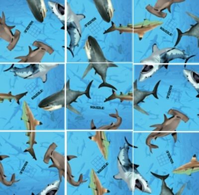 Squzzle Puzzle - Sharks