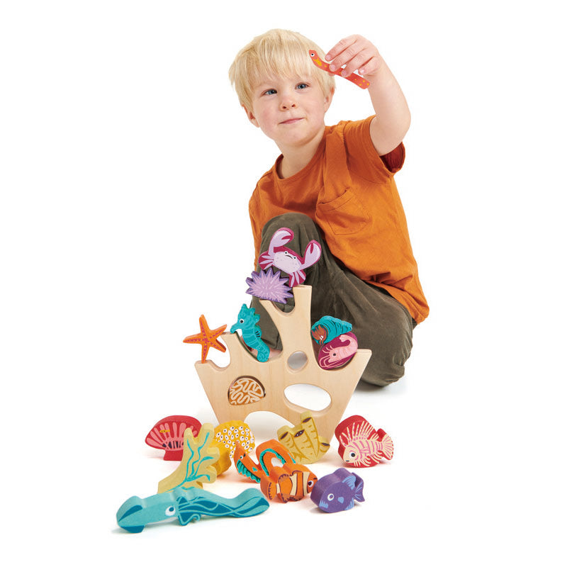 Stacking Coral Reef - Brain Spice