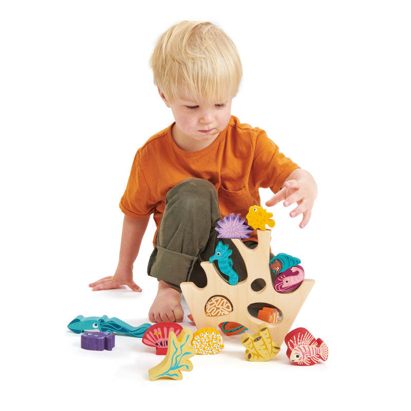 Stacking Coral Reef - Brain Spice