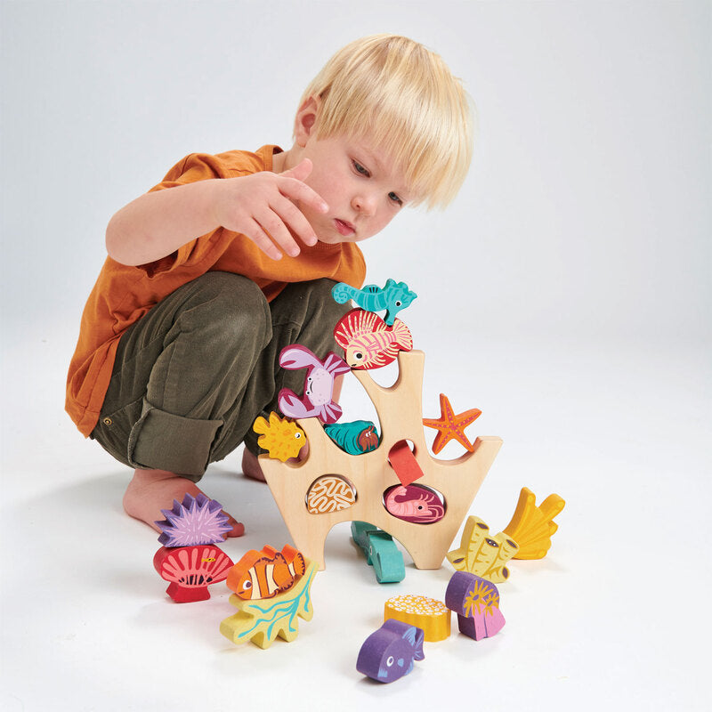 Stacking Coral Reef - Brain Spice