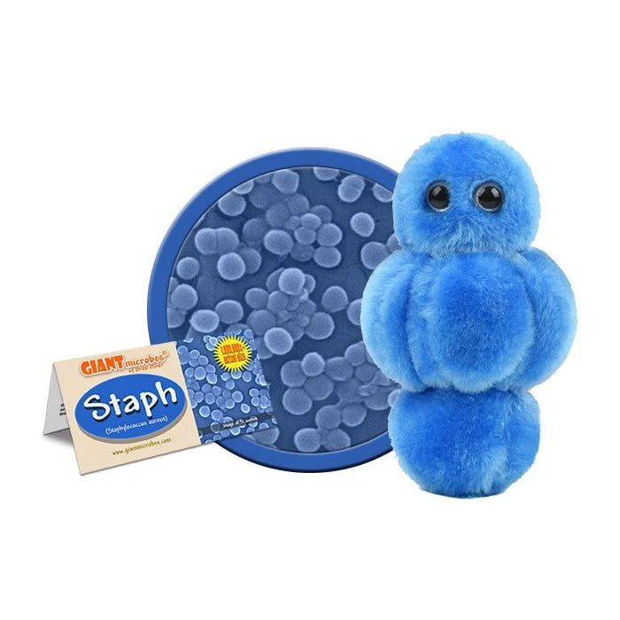 Staph - Giant Microbe - Brain Spice