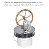 Stirling Engine - Low Temperature - Brain Spice