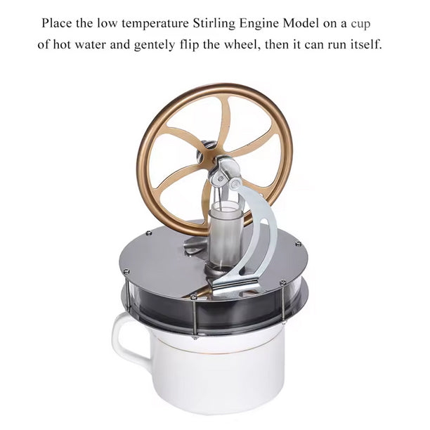 Stirling Engine - Low Temperature - Brain Spice