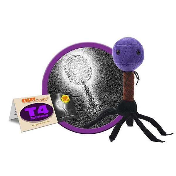 T4 Escherichia - Giant Microbe - Brain Spice