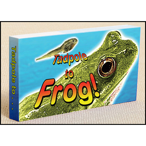 Tadpole to Frog Flipbook - Brain Spice