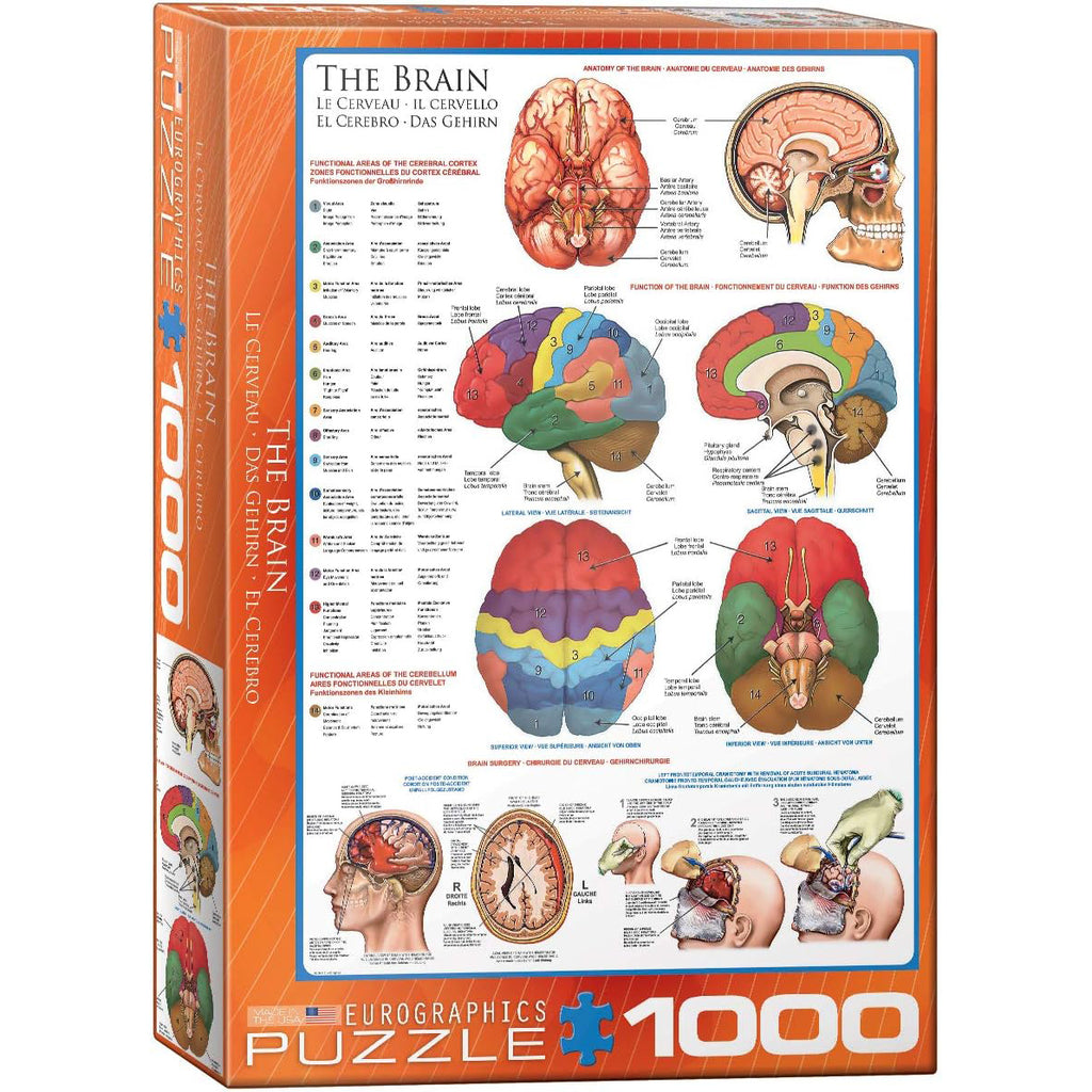 The Brain - Jigsaw 1000pc - Brain Spice