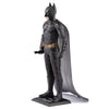 The Dark Knight - Batman - ICONX - Brain Spice