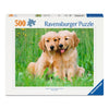 The Golden Retriever Brothers - Jigsaw 500pc - Brain Spice