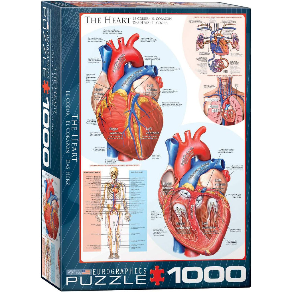 The Heart - Jigsaw 1000pc - Brain Spice