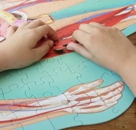 The Human Body Puzzle & Book Set - 205pc - Sassi Travel Learn and Explore - Brain Spice - Brain Spice