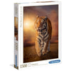 Tiger - Jigsaw 1500pc - Brain Spice
