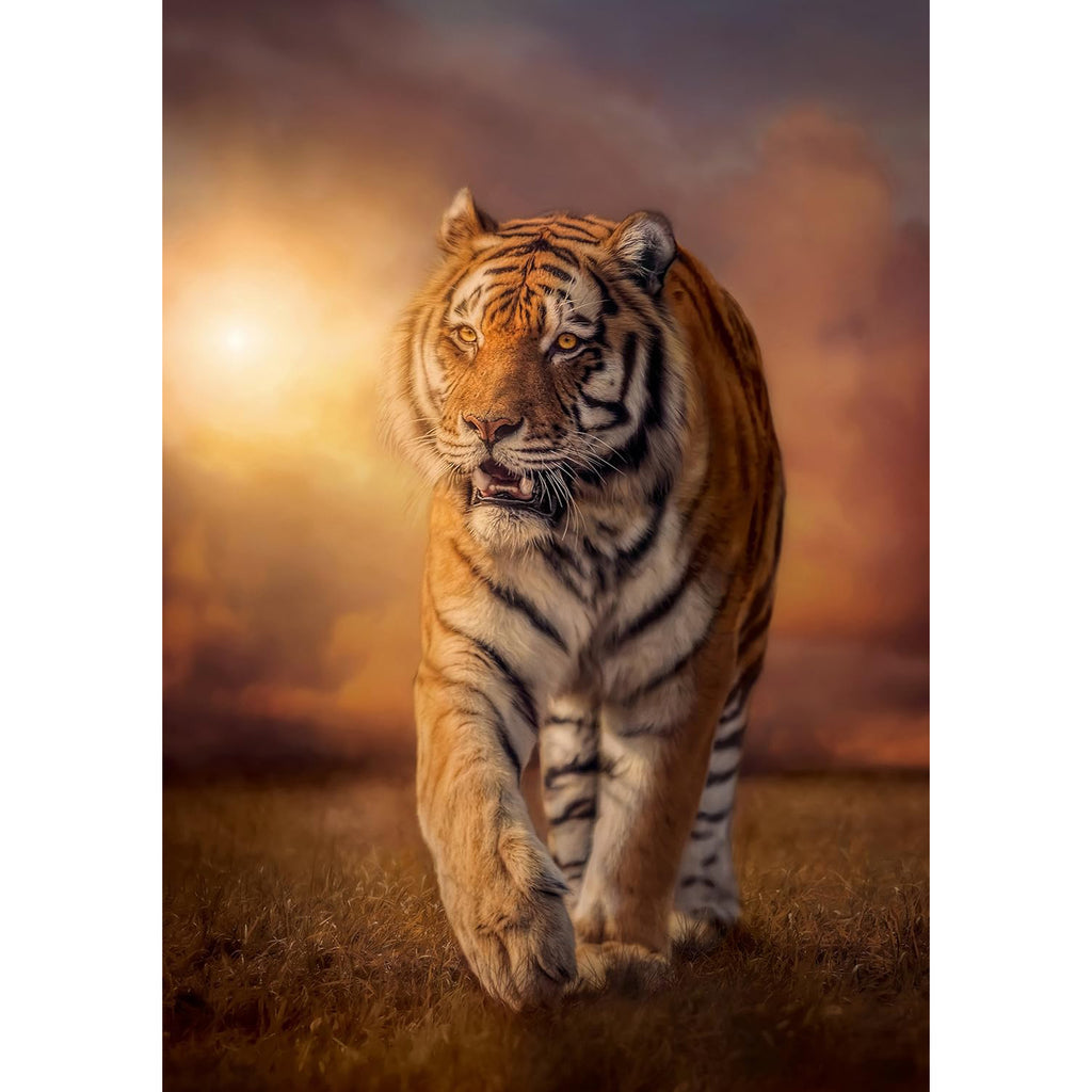 Tiger - Jigsaw 1500pc - Brain Spice