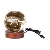 Triceratops - 3D Crystal Ball Lamp - Brain Spice