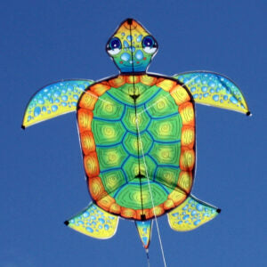 Turtle Kite - Brain Spice