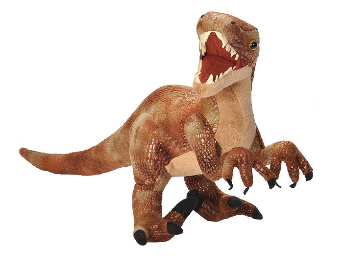Dinosauria Velociraptor - Brain Spice