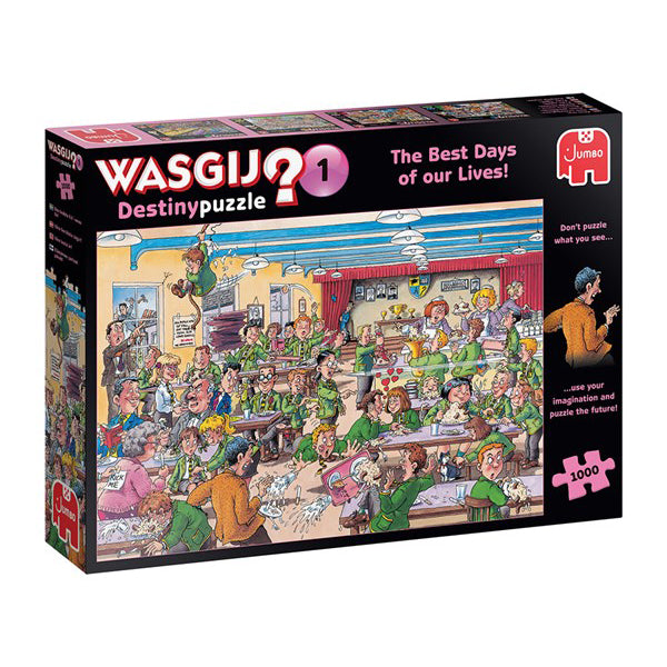 Wasgij Destiny 1 - Best Days of Our Lives - Wasgij - 1000 pc - Brain Spice