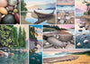 West Coast Tranquility - Jigsaw 1000pc - Brain Spice
