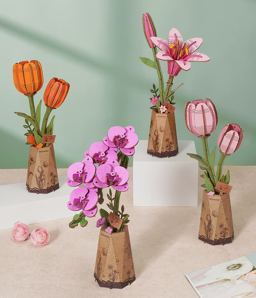 Wood Bloom Purple Moth Orchid - Brain Spice