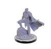 Xhorhasian Mage and Prowler - D&D Critical Role Unpainted Miniatures - Brain Spice