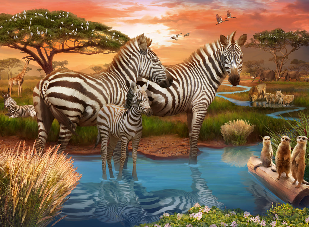 Zebras at Waterhole - Jigsaw 500pc - Brain Spice
