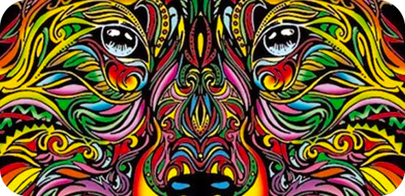 ColorVelvet Turns Everybody into an Artist.