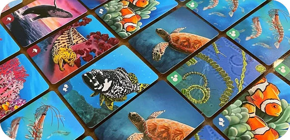 A Brilliant Biology Game for Homeschoolers