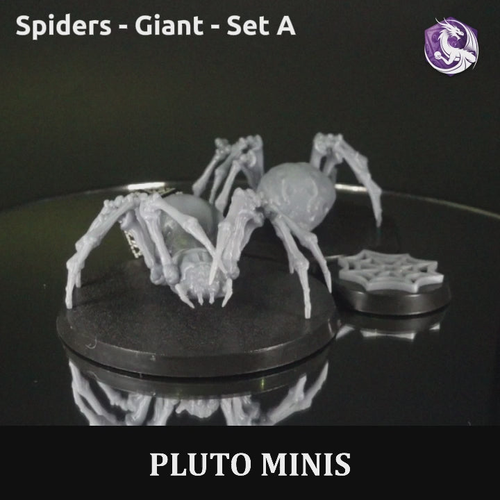Spiders Giant Set A - Brain Spice