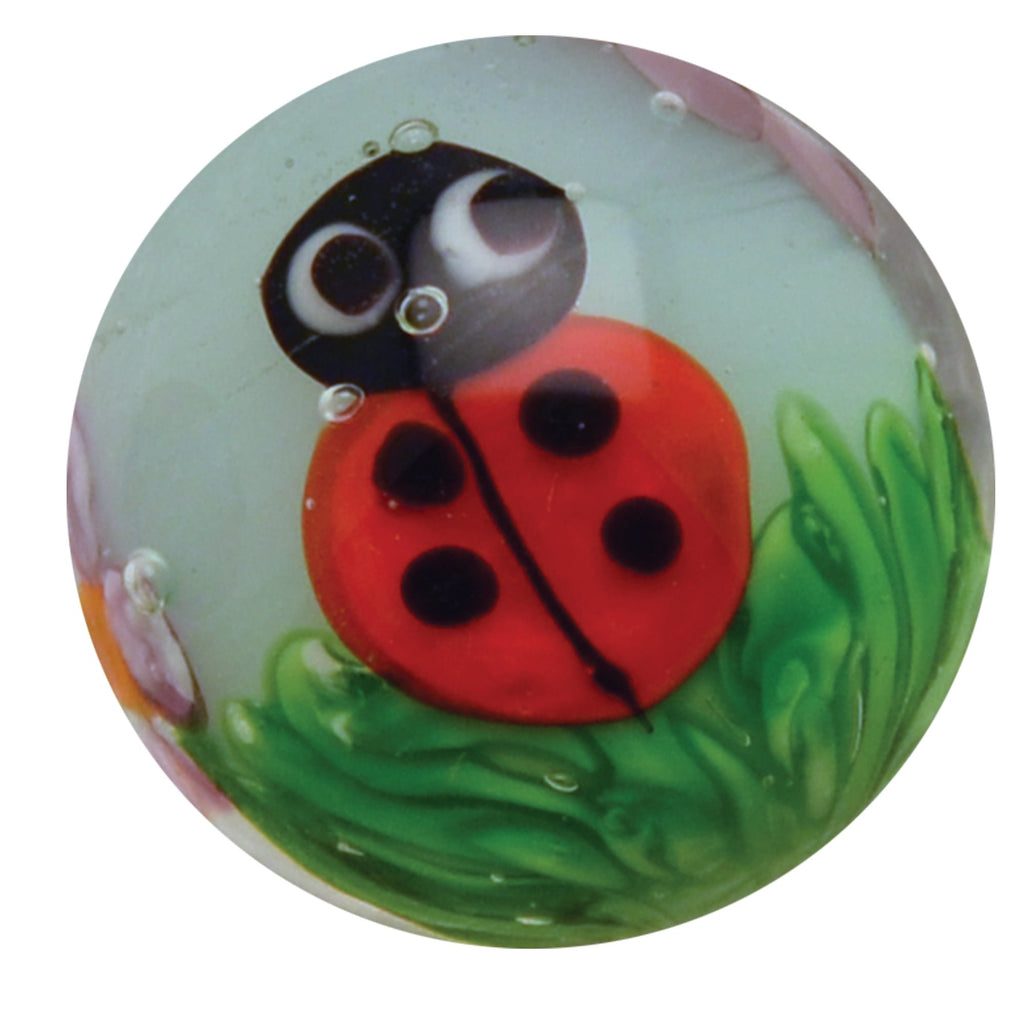 22mm Ladybird Marble - Hand Made - Brain Spice