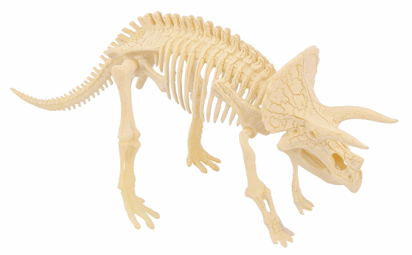 Triceratops Paleontology Kit