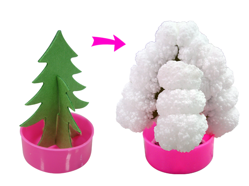 SN - Magic Flower - Display of 48 - Brain Spice