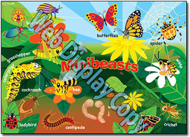 Animals - Early Years Theme Posters - Brain Spice
