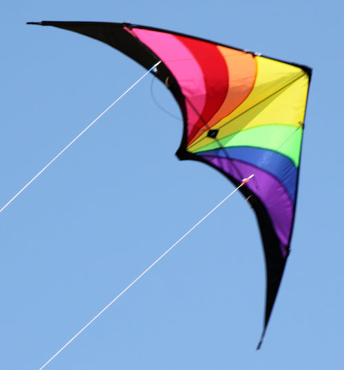 Prism - Dual Control Kite