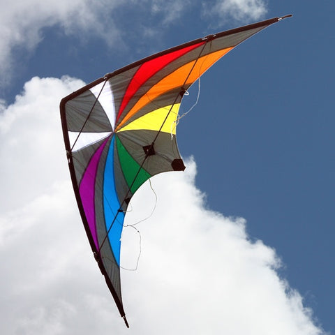 Backdraft - Dual Control Kite - Brain Spice