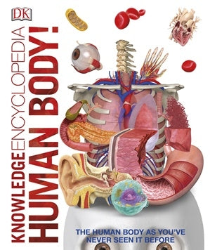 Knowledge Encyclopedia - Human Body - Brain Spice