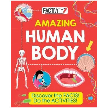 Amazing Human Body - Factivity - Brain Spice