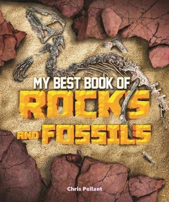 My Best Book of Rocks and Fossils - Brain Spice