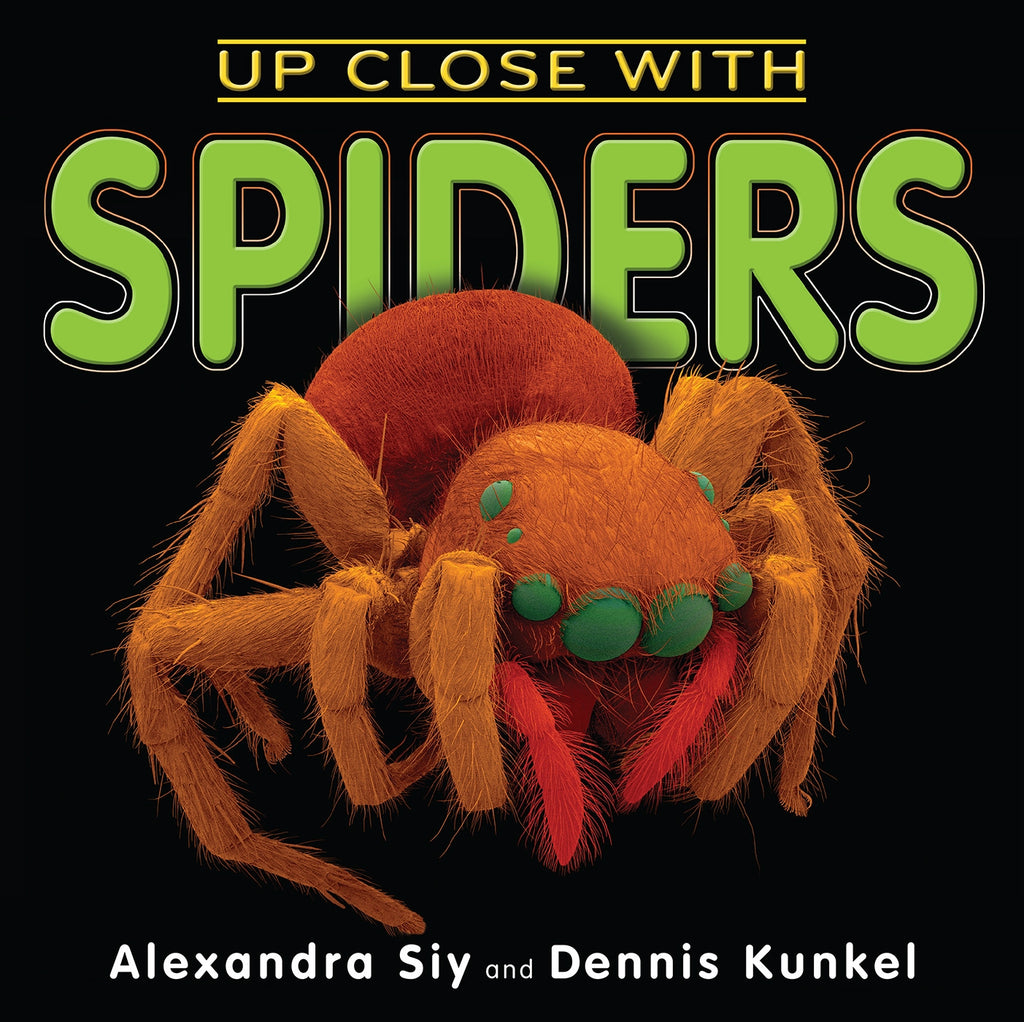 Up Close With Spiders - Brain Spice