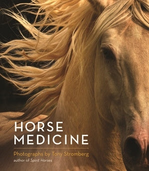 Horse Medicine - Brain Spice