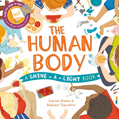 Human Body - Shine-A-Light - Brain Spice
