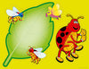 Ladybird Helpers - Activity Packs - Brain Spice