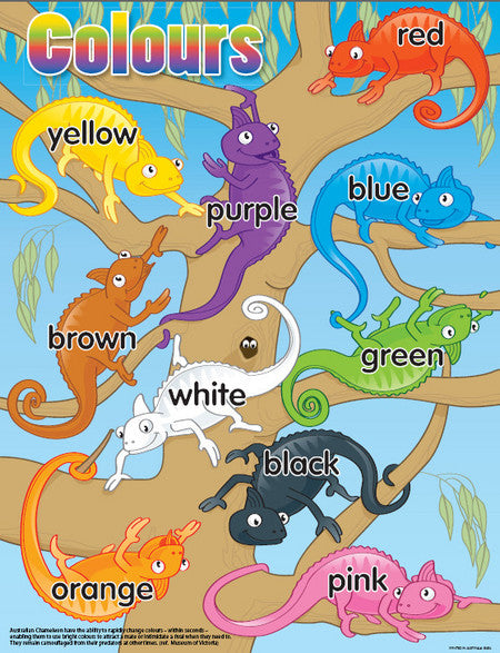 Colour Ozzie Chameleons - Educational Chart - Brain Spice