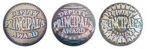Deputy Principal Award Silver - Large Foil Stickers - Brain Spice