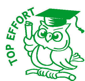 Top Effort Owl - Merit Stamp - Brain Spice