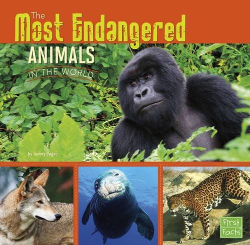 All About Animals - Worlds Most Endangered Animals - Brain Spice